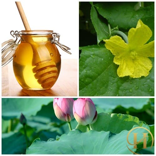 Tiết lộ 2 cách trị nám tại nhà bằng lá sen