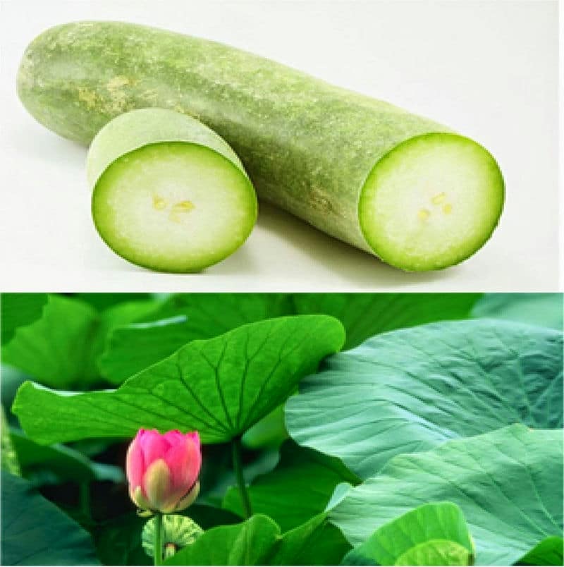 Tiết lộ 2 cách trị nám tại nhà bằng lá sen