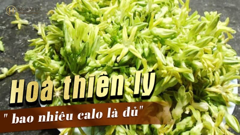 Hoa thiên lý bao nhiêu calo?