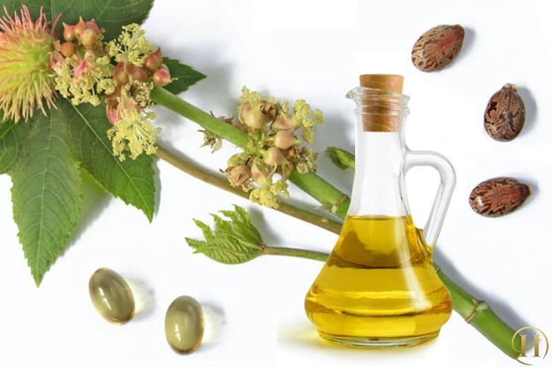 Trị rạn da bằng thầu dầu