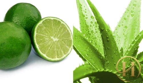 Mật ong và chanh giúp trị tóc khô