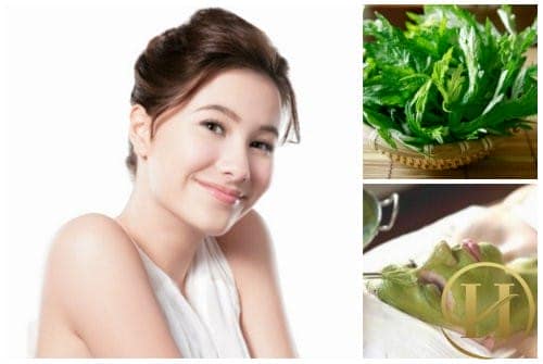 Cách làm thu nhỏ lỗ chân lông bằng rau ngải cứu