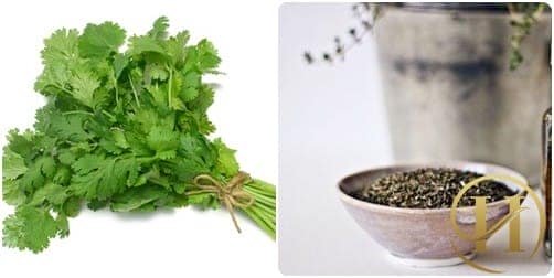 Rau mùi và cỏ xạ hương là nguyên liệu thu nhỏ lỗ chân lông an toàn