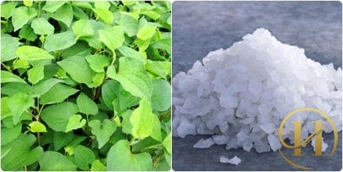Da mặt sạch bong mụn thịt với rau diếp cá và muối hạt