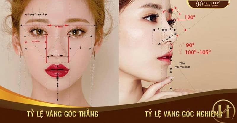 TỶ LỆ VÀNG TRÊN KHUÔN MẶT, THƯỚC ĐO ĐÁNH GIÁ SỰ HOÀN HẢO
