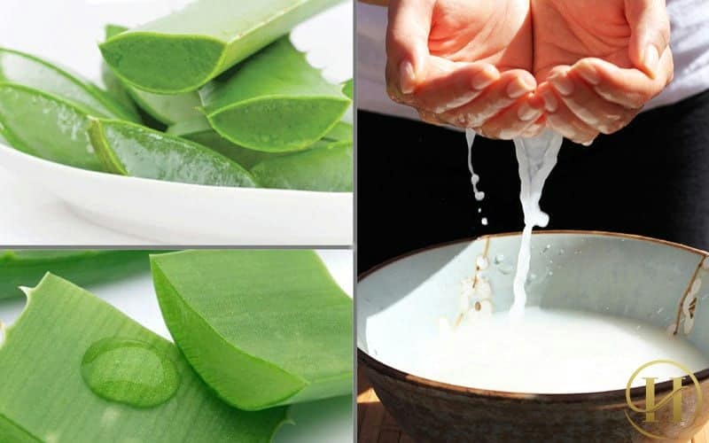 Nha đam giúp chị em trị mụn thịt