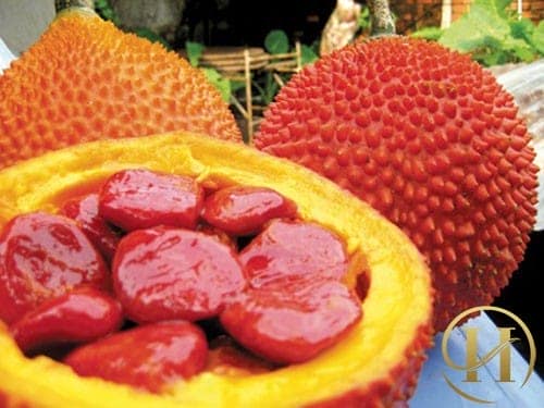làm trắng da bằng gấc