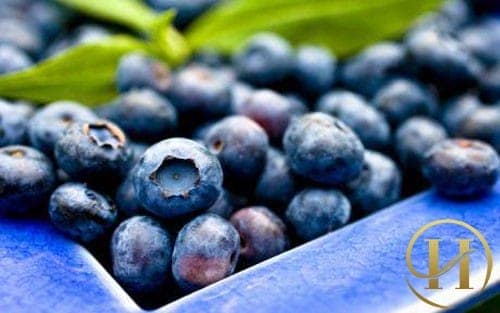 làm trắng da bằng quả việt quất