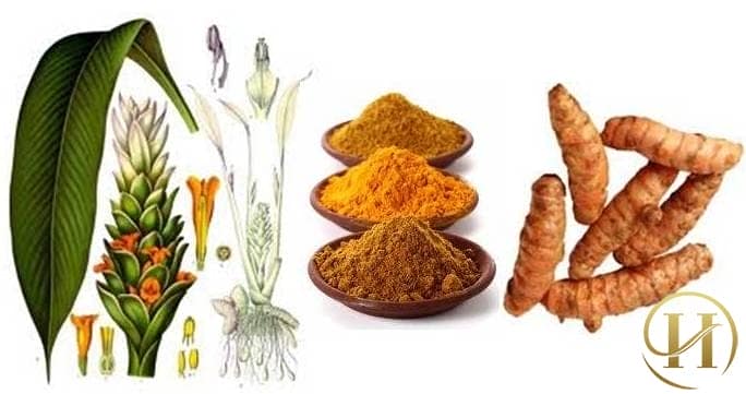 Làm trắng da bằng tinh bột nghệ