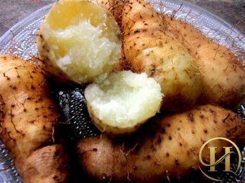 Trị hôi nách bằng củ từ