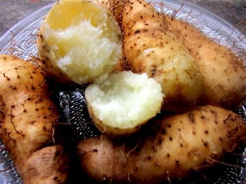 Khám phá giải pháp trị hôi nách thông minh bằng củ từ