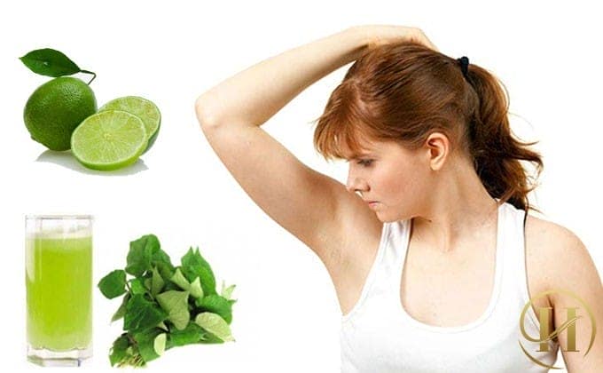 Rau diếp cá và chanh tươi 