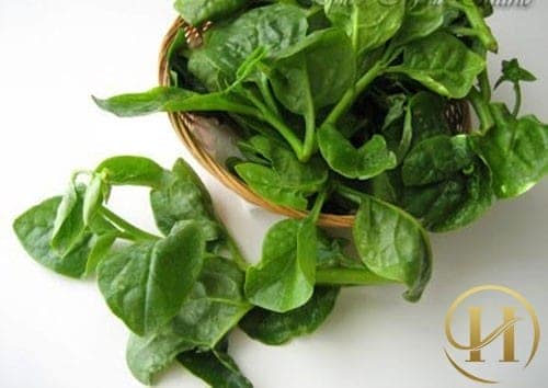 Trị nám da bằng rau mồng tơi