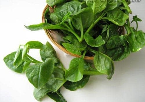 Độc đáo với cách trị nám da hiệu quả bằng rau mồng tơi