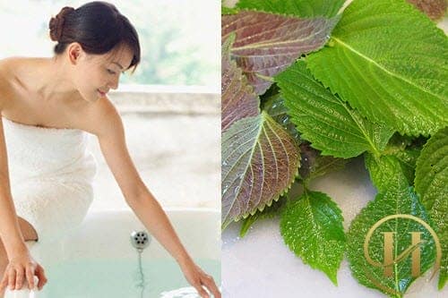 tắm làm trắng da bằng lá tía tô