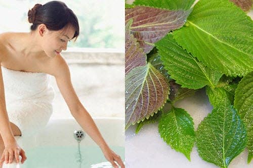 Làm trắng da không khó chỉ với tía tô