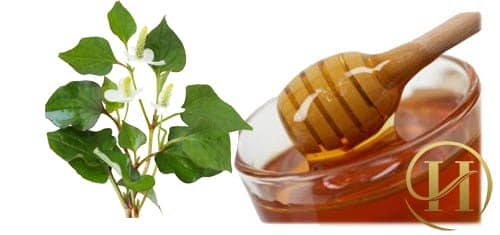 Rau diếp cá và mật ong