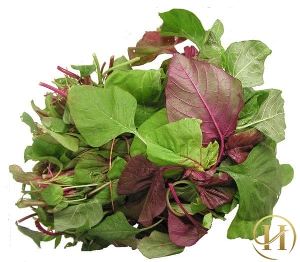 4 bài thuốc nam "thổi bay" nỗi lo về hôi nách