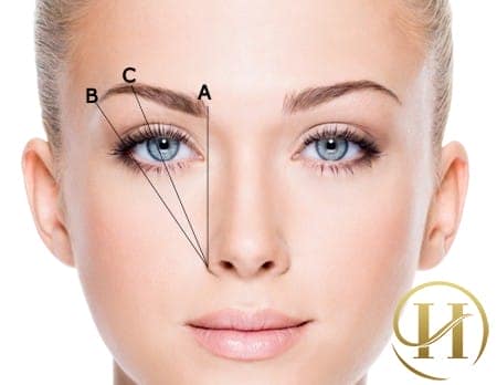 Bạn nên xác định điểm cao nhất của lông mày để tạo vòng cong cho chân mày