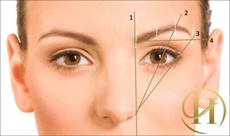 Tỉ lệ vàng của một đôi lông mày đẹp hoàn hảo