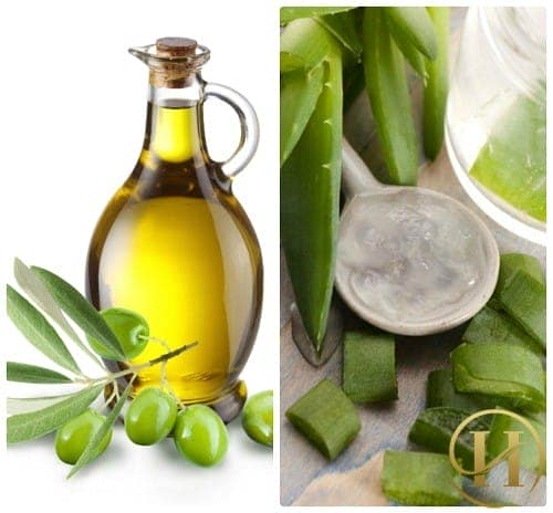 Đừng bỏ qua việc chăm sóc da bằng nha đam và dầu oliu nhé