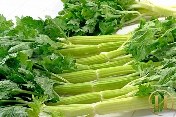 Rau cần tây có rất nhiều công dụng cho sức khỏe và làm đẹp
