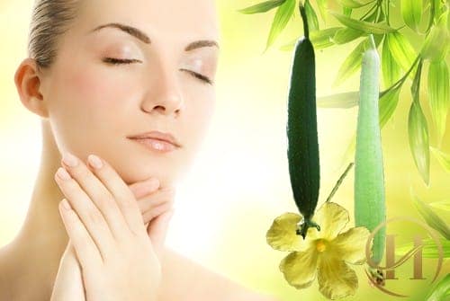 Bạn có thể dùng nhựa mướp để xóa bỏ nếp nhăn