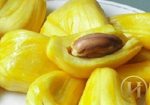 Mít có rất nhiều công dụng cho sức khỏe và làm đẹp