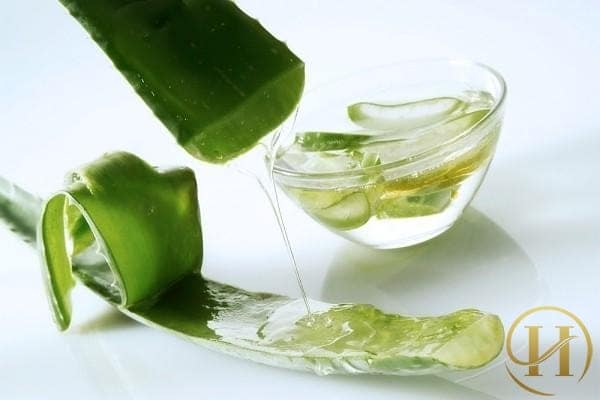 Nên chọn nha đam còn tươi và sắt thành hạt lựu