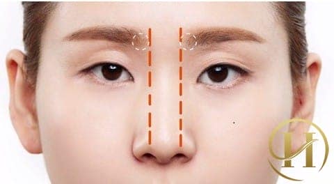 Bước 6: Để đo độ cân bằng ngang, kẻ 2 đường song song dọc sống mũi. Ướm cho 2 đường này vừa chạm chân mày để cân bằng 2 bên