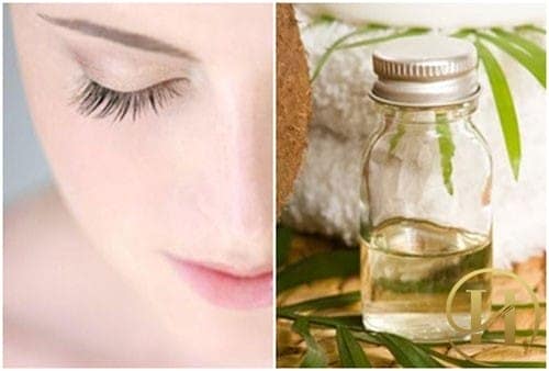 Sử dụng dầu dừa là cách đơn giản để giúp eva có được đôi mày lông mày cong vút