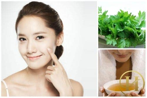 Xóa nhăn bằng công thức từ lá ngải cứu