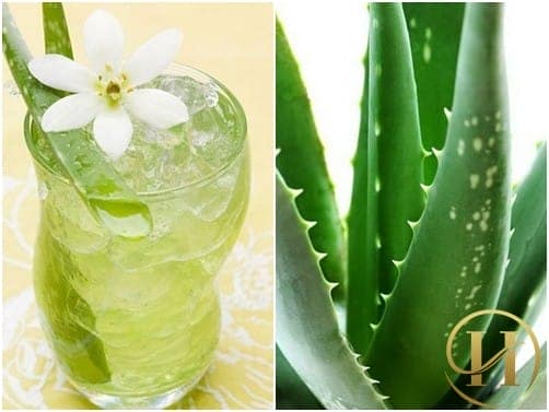 Giảm cân nhanh chóng bằng nước ép nha đam