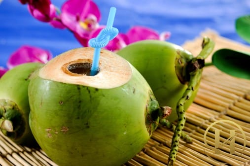 Mùa hè nên ăn gì để giảm cân giải nhiệt - nước dừa