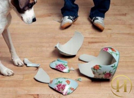  Mồng 1 Tết kiêng làm vỡ bát đĩa