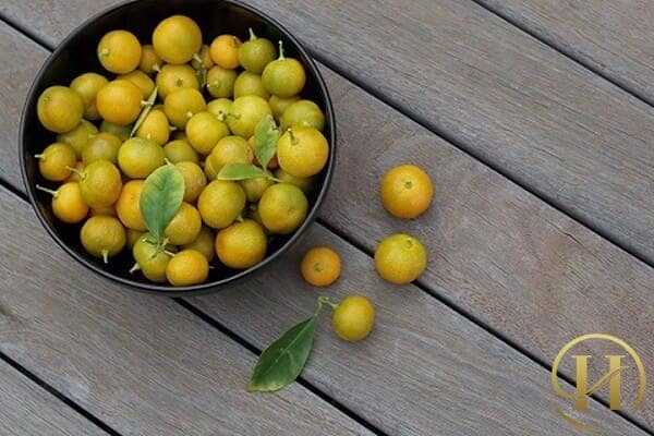 Cách Làm Tắc Muối (Quất Muối) Nguyên Trái Có Thể Giữ Đến 8 Năm Không Hư