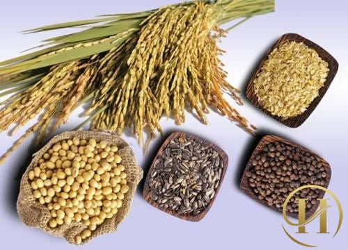 Tuyệt chiêu để sở hữu vòng eo lý tưởng như siêu mẫu 8a