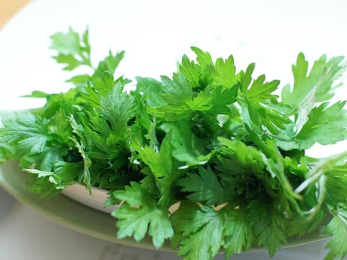 duong-da-voi-ngai-cuu