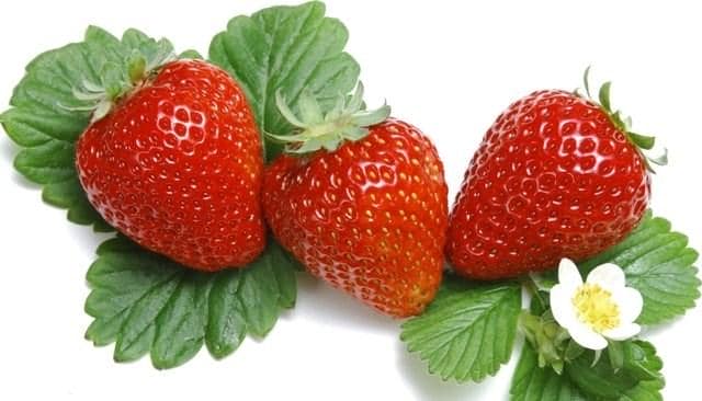 Những loại trái cây giúp giảm mỡ bụng 1
