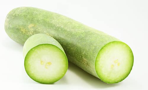 cong-dung-giam-beo-cua-bi-dao-2