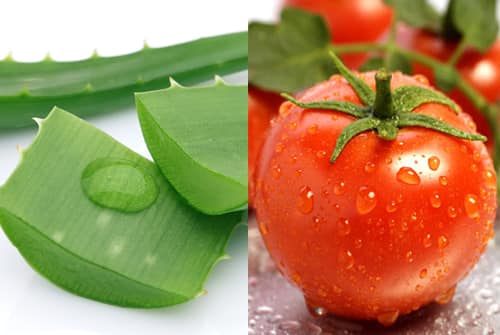Mặt nạ điều trị da khô từ cà chua
