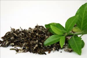 Chăm sóc tóc hư tổn bằng trà xanh
