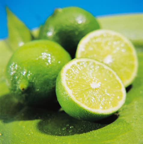 Limes