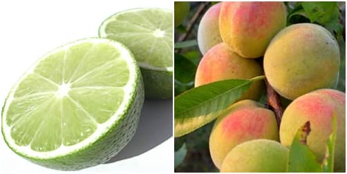 mat-na-dao-chanh-giai-phap-giup-trang-da-an-toan