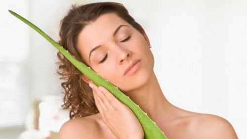 Tái tạo da từ nha đam