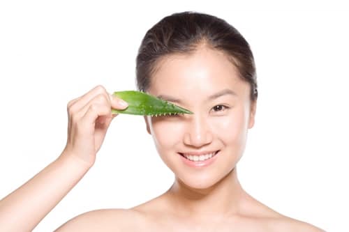 Khắc phục chống khô mắt bằng nha đam