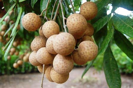 xoa-nhan-cang-da-mat-bang-nhan