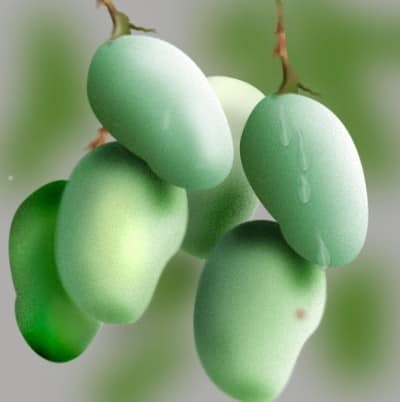 Trị nám bằng xoài 