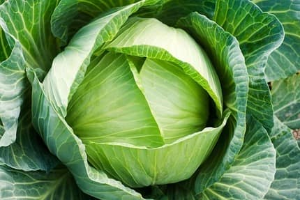 Làm thế nào để giảm béo vào mùa đông 2