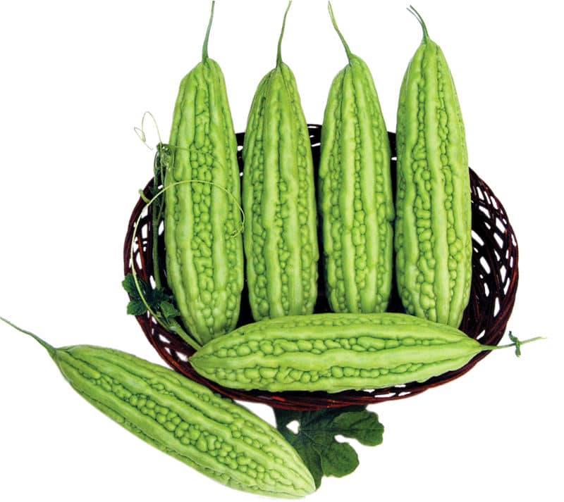  Thực đơn giảm cân trong 3 ngày với nước ép khổ qua - mướp đắng